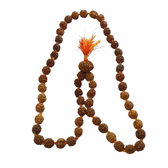 4 Mukhi Rudraksha Mala 51 beads 